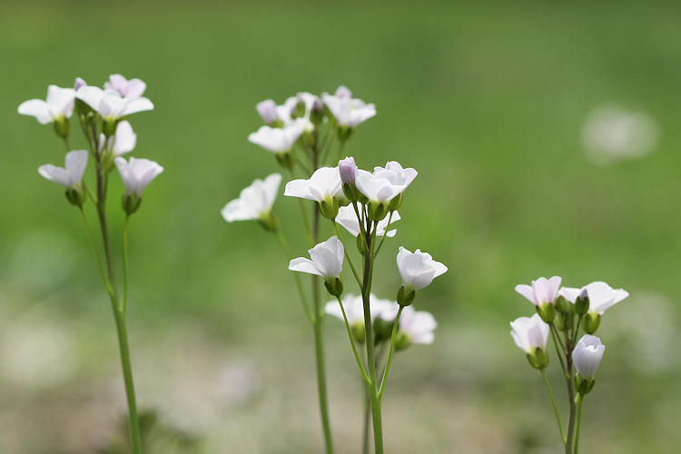 : Bild 53