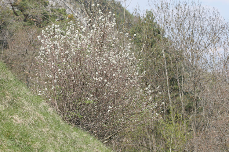 : Bild 161