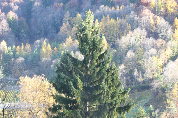 : Bild 674