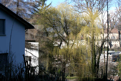 : Bild 904