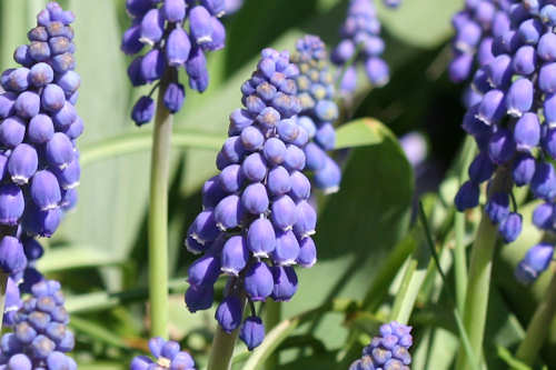 : Bild 1173