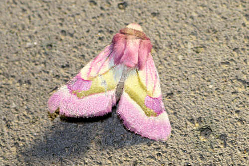 : Bild 103