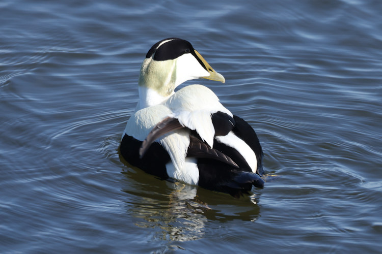 : Bild 6