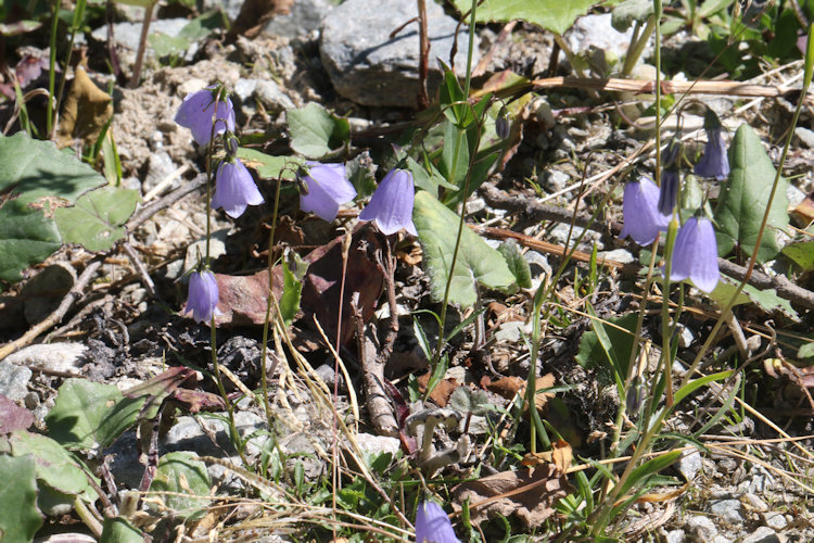 : Bild 6