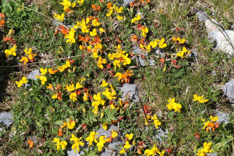 : Bild 11
