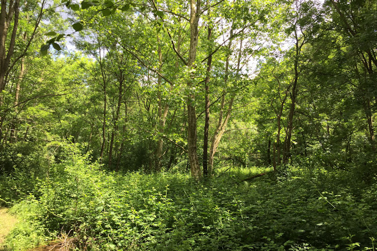 : Bild 10