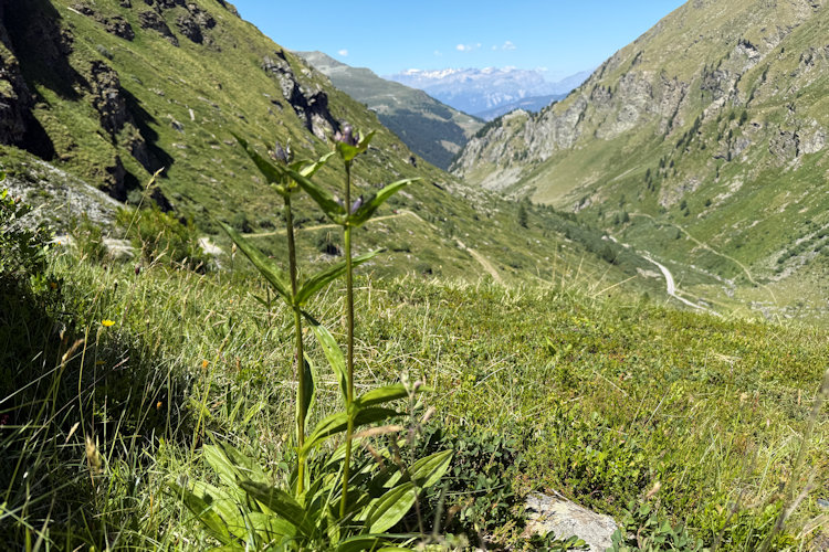 : Bild 7