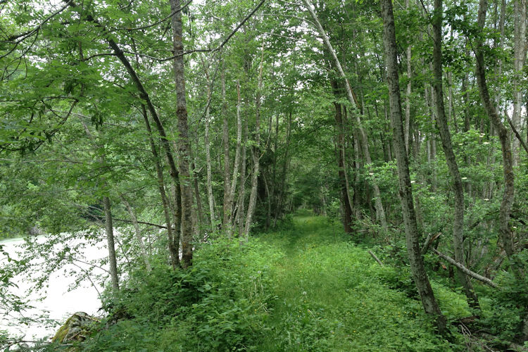 : Bild 6